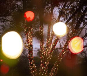 ProfessionalChristmasLightInstallation_LumenateNashville